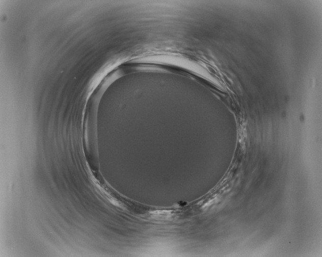 X0000060790052200511171318