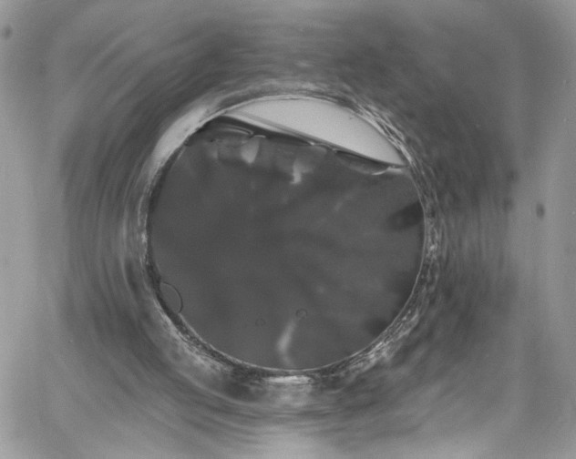 X0000060790053200511171318