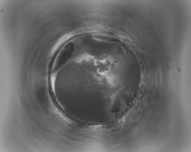 X0000060790054200511171318