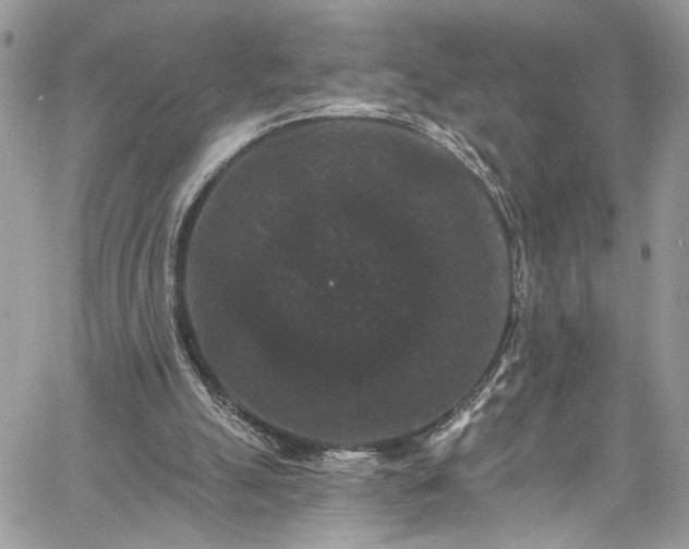 X0000060790055200511171318