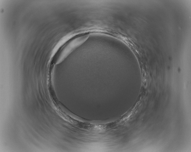 X0000060790056200511171318