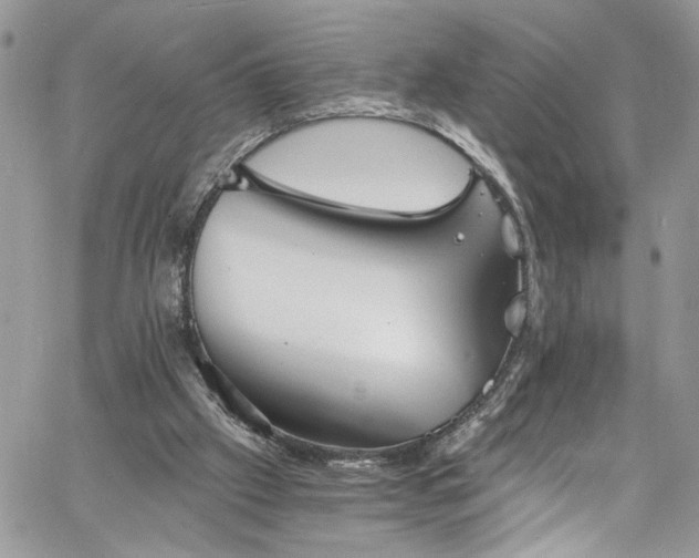 X0000060790057200511171318