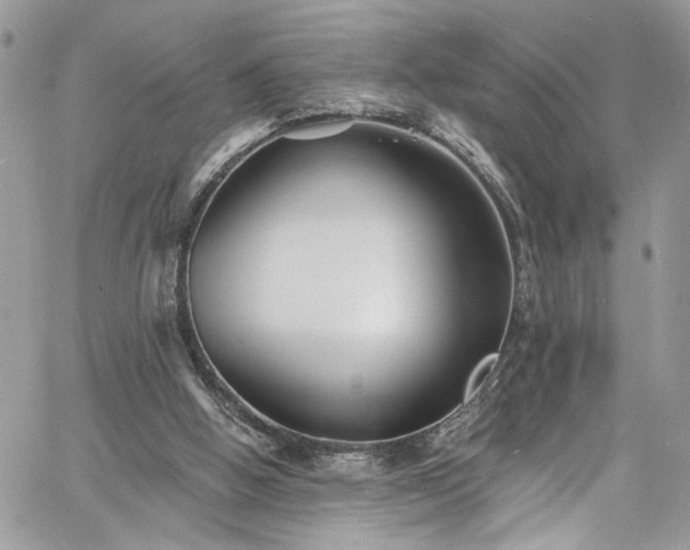 X0000060790058200511171318