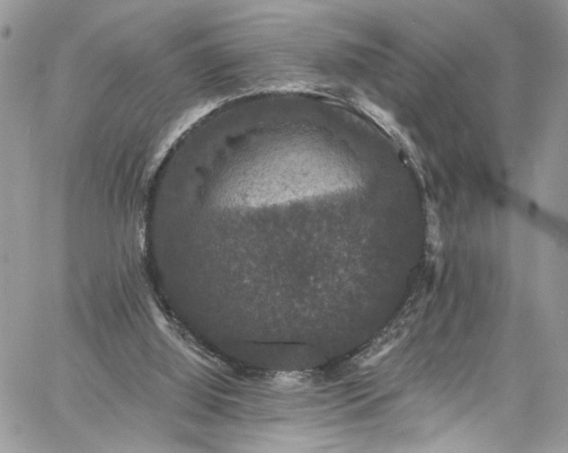 X0000060790060200511171319