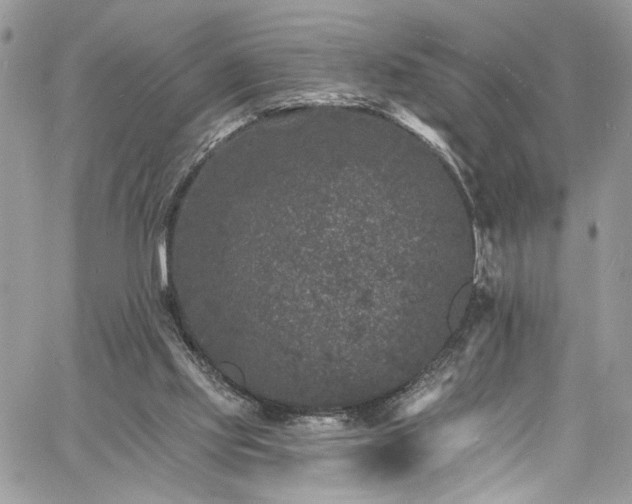 X0000060790061200511171319