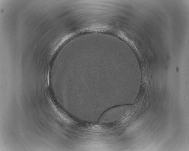 X0000060790062200511171319