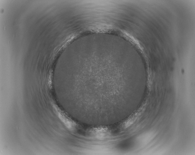 X0000060790065200511171319