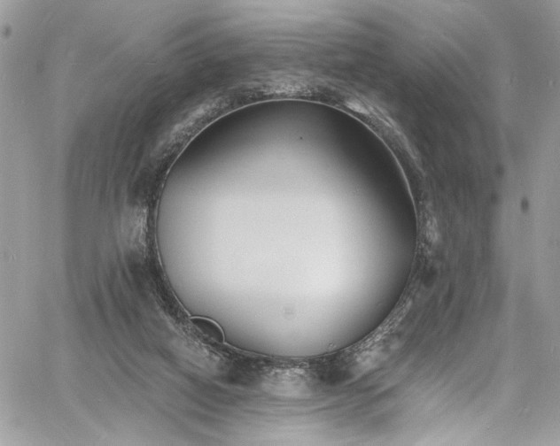 X0000060790066200511171319