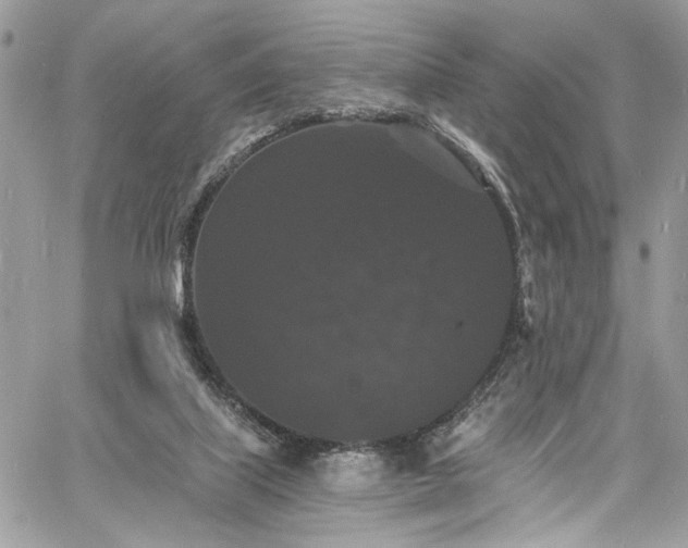 X0000060790067200511171319