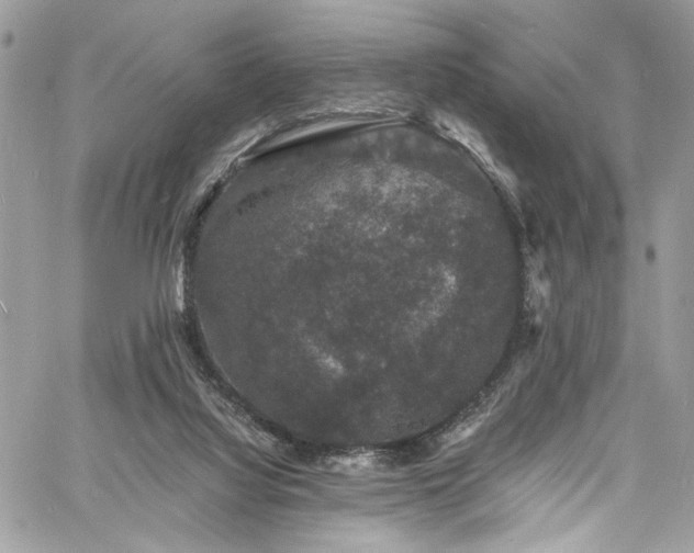 X0000060790068200511171319