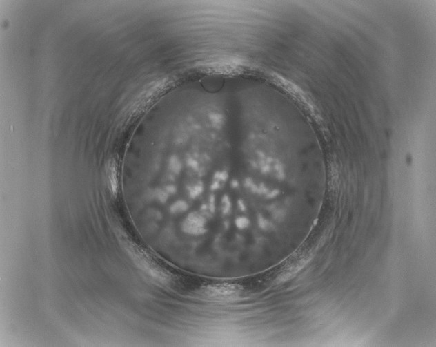 X0000060790069200511171319