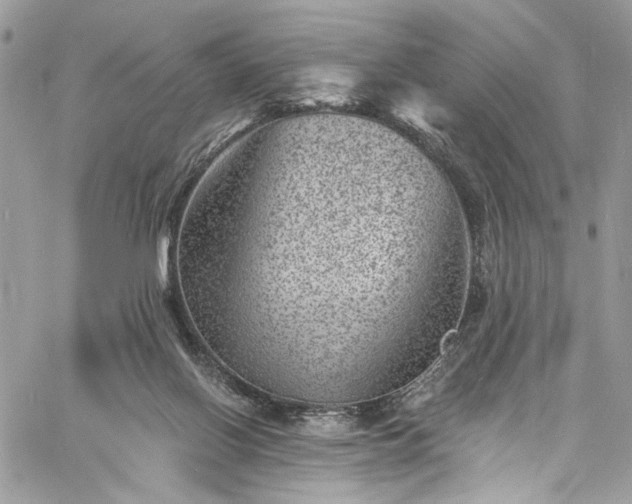 X0000060790070200511171319