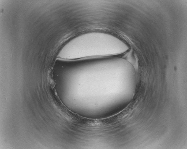 X0000060790071200511171319