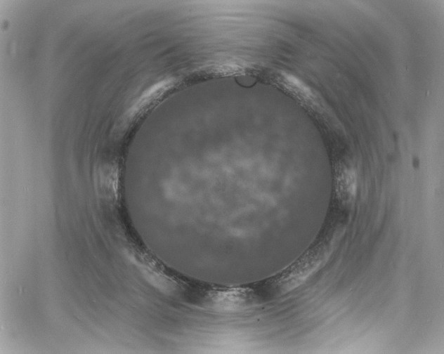 X0000060790072200511171319