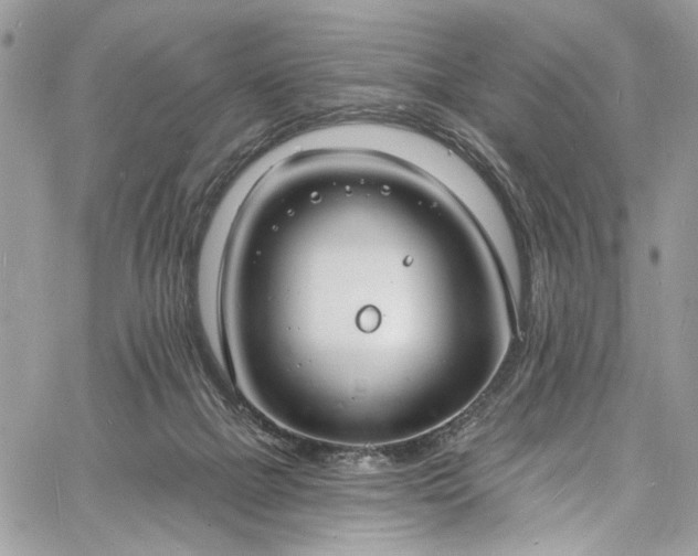 X0000060790073200511171319