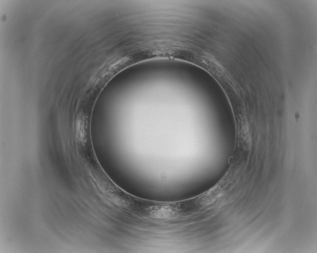 X0000060790074200511171319