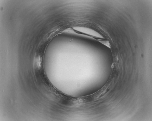 X0000060790075200511171319