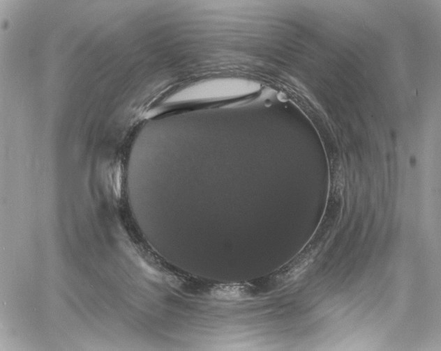 X0000060790076200511171319