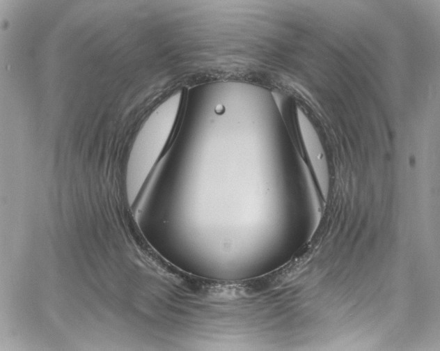 X0000060790077200511171319