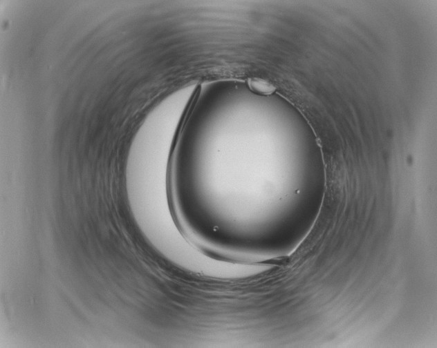 X0000060790080200511171319