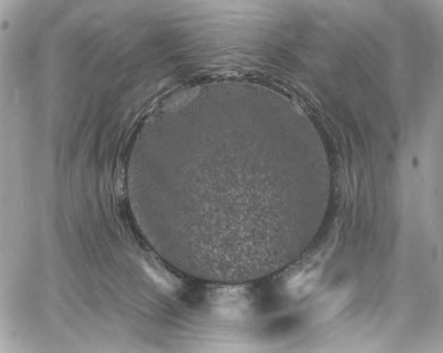 X0000060790081200511171319