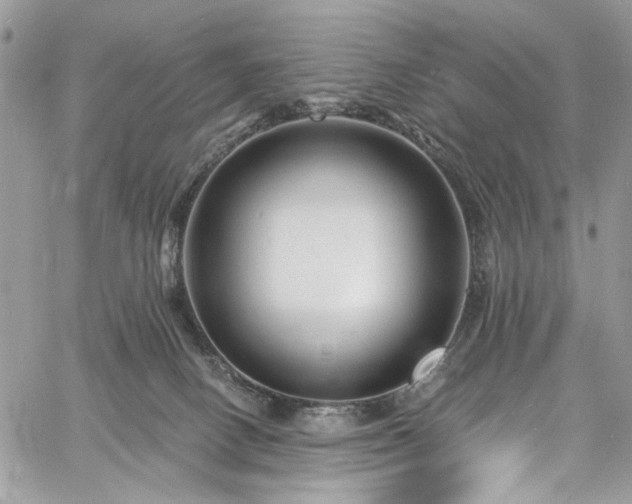 X0000060790082200511171319