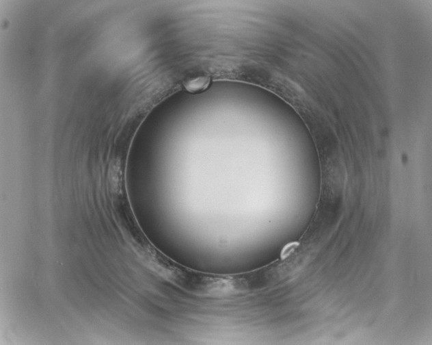 X0000060790083200511171319