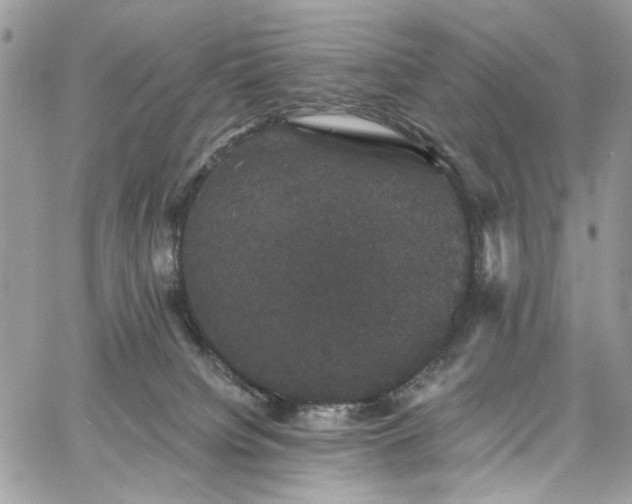 X0000060790084200511171319