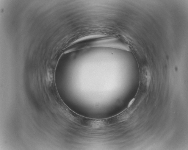 X0000060790085200511171319