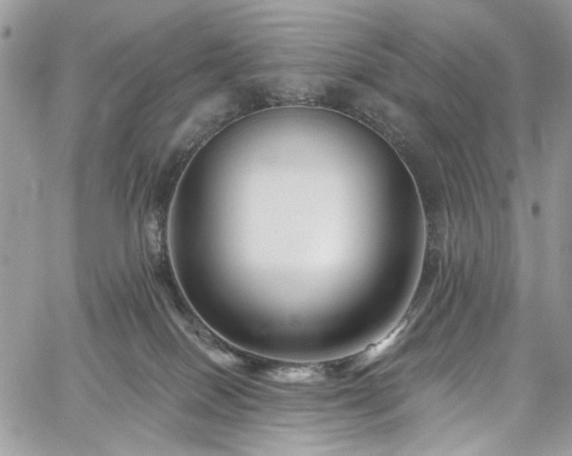 X0000060790086200511171319