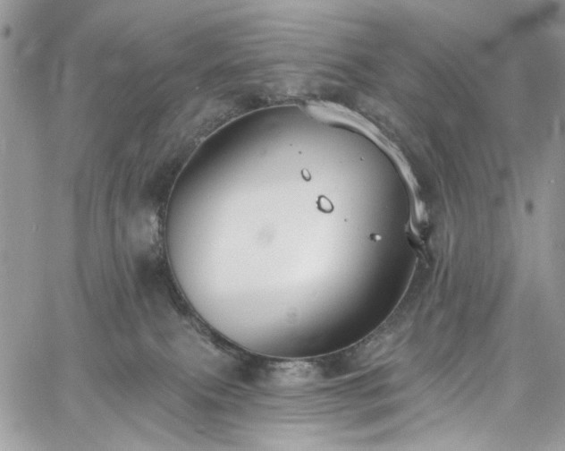 X0000060790087200511171319