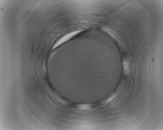 X0000060790088200511171319