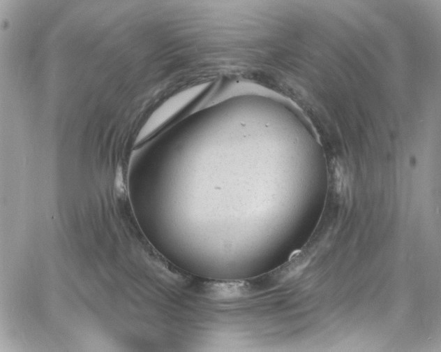 X0000060790089200511171319