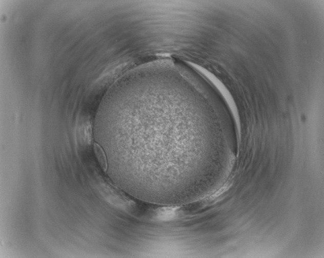 X0000060790090200511171319