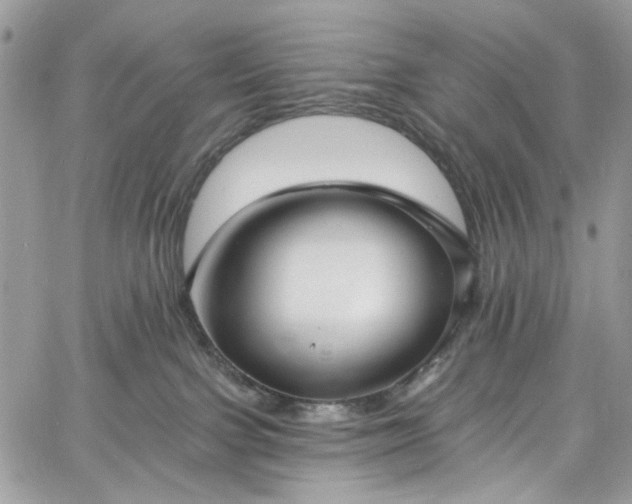 X0000060790091200511171319