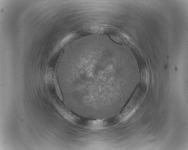 X0000060790092200511171319