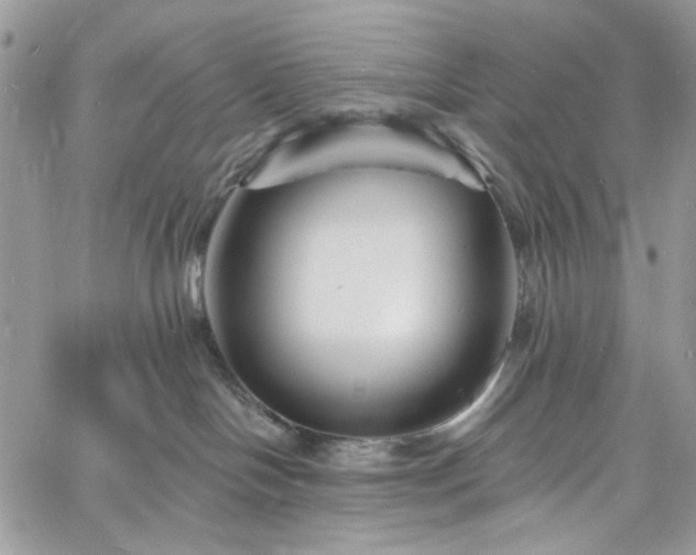 X0000060790094200511171319