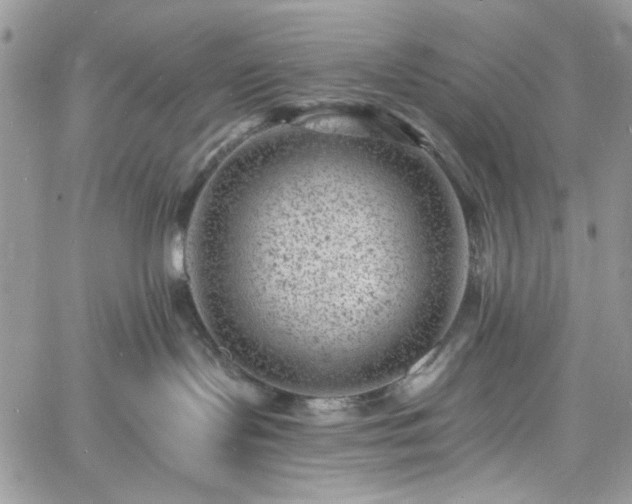 X0000060790095200511171319