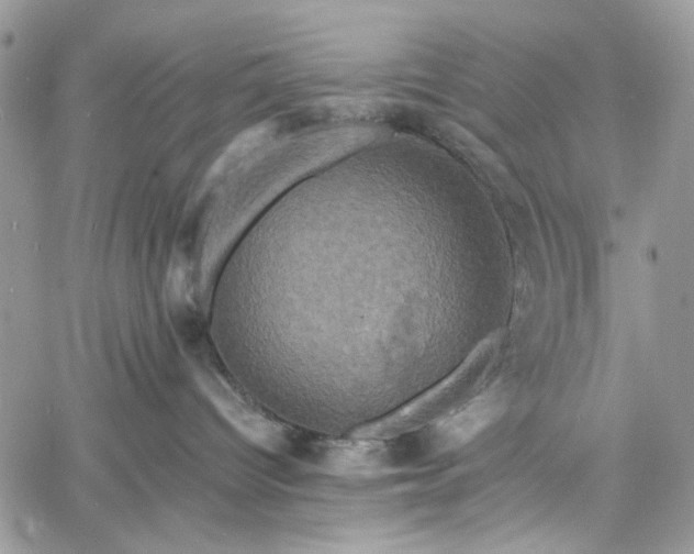 X0000060790096200511171319