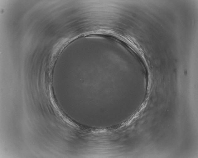 X0000060790097200511171318