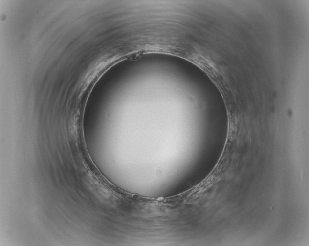 X0000060790098200511171318