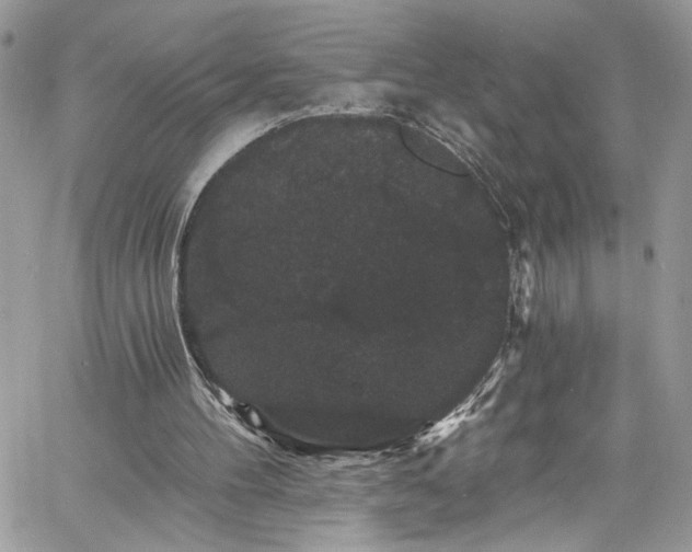 X0000060790100200511171318