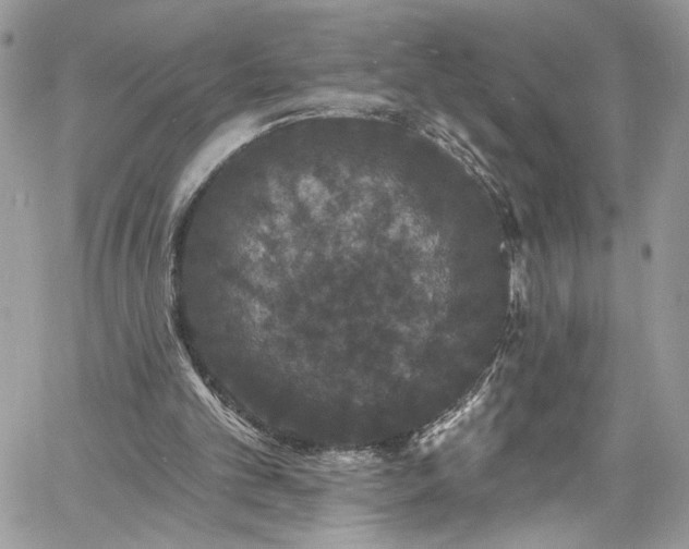 X0000060790101200511171318