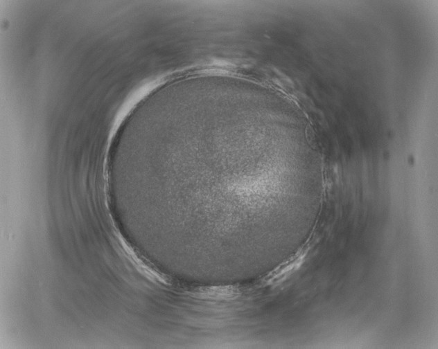 X0000060790102200511171318