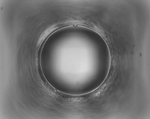 X0000060790103200511171318