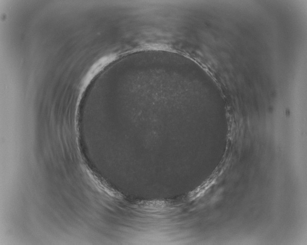 X0000060790104200511171318