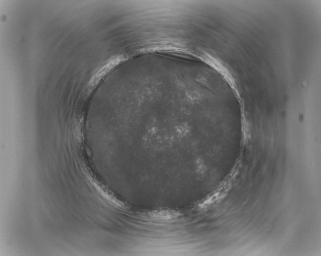 X0000060790105200511171318