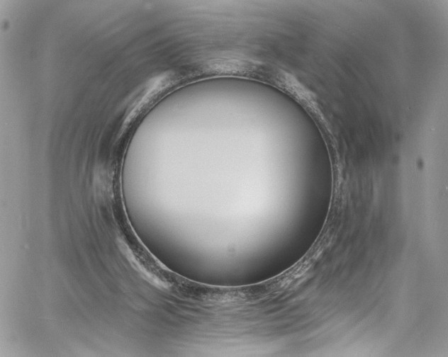 X0000060790106200511171318