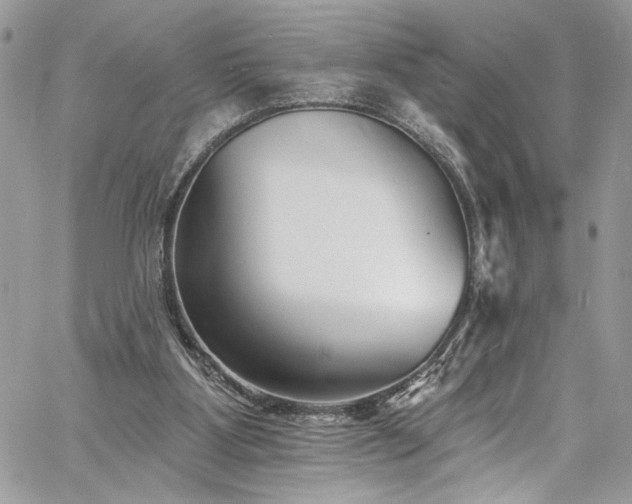 X0000060790107200511171318