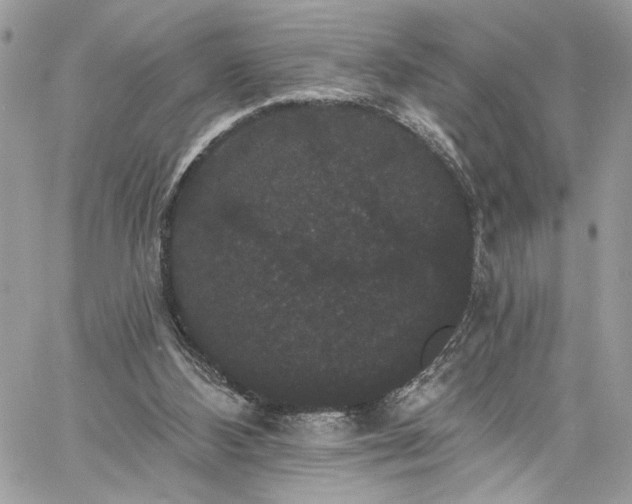 X0000060790108200511171318